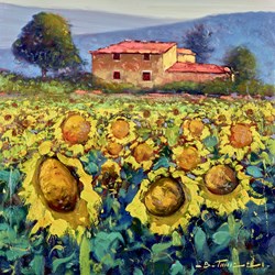 Casa Tra I Girasol by Bruno Tinucci - Original Painting on Stretched Canvas sized 20x20 inches. Available from Whitewall Galleries
